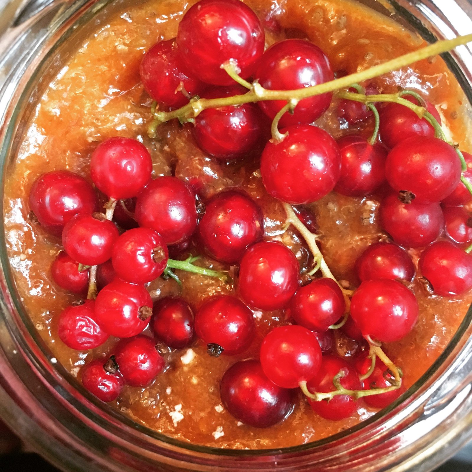 Aprikosen Crumble mit Johannisbeeren - Rinetta Klinger